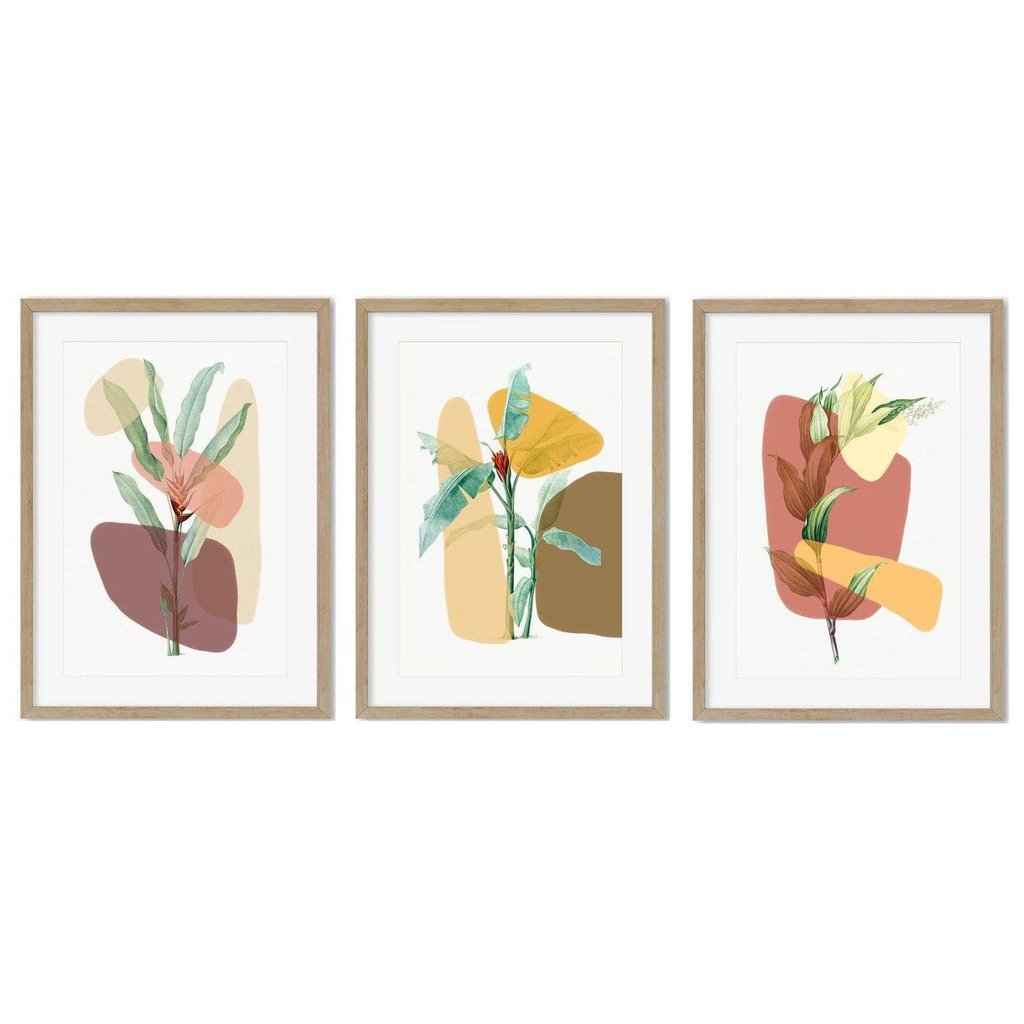 Botanical Abstracts - Set Of 3 Prints