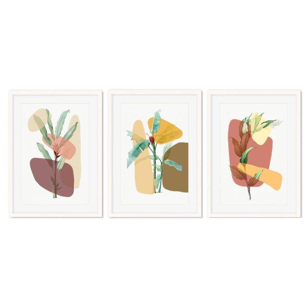 Botanical Abstracts - Set Of 3 Prints