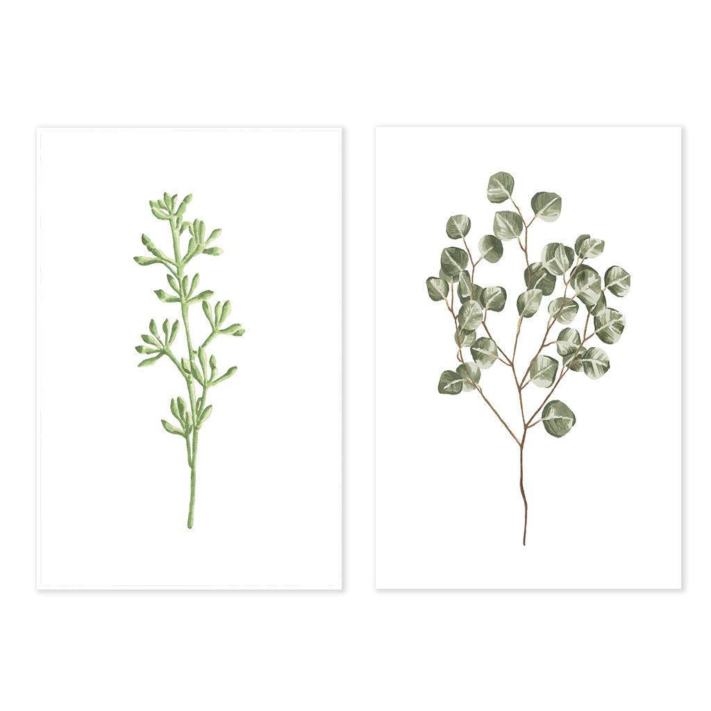 Botanical Pair - Print Set Of 2 Black Frame Wall Art Print Set Of 2 - Abstract House