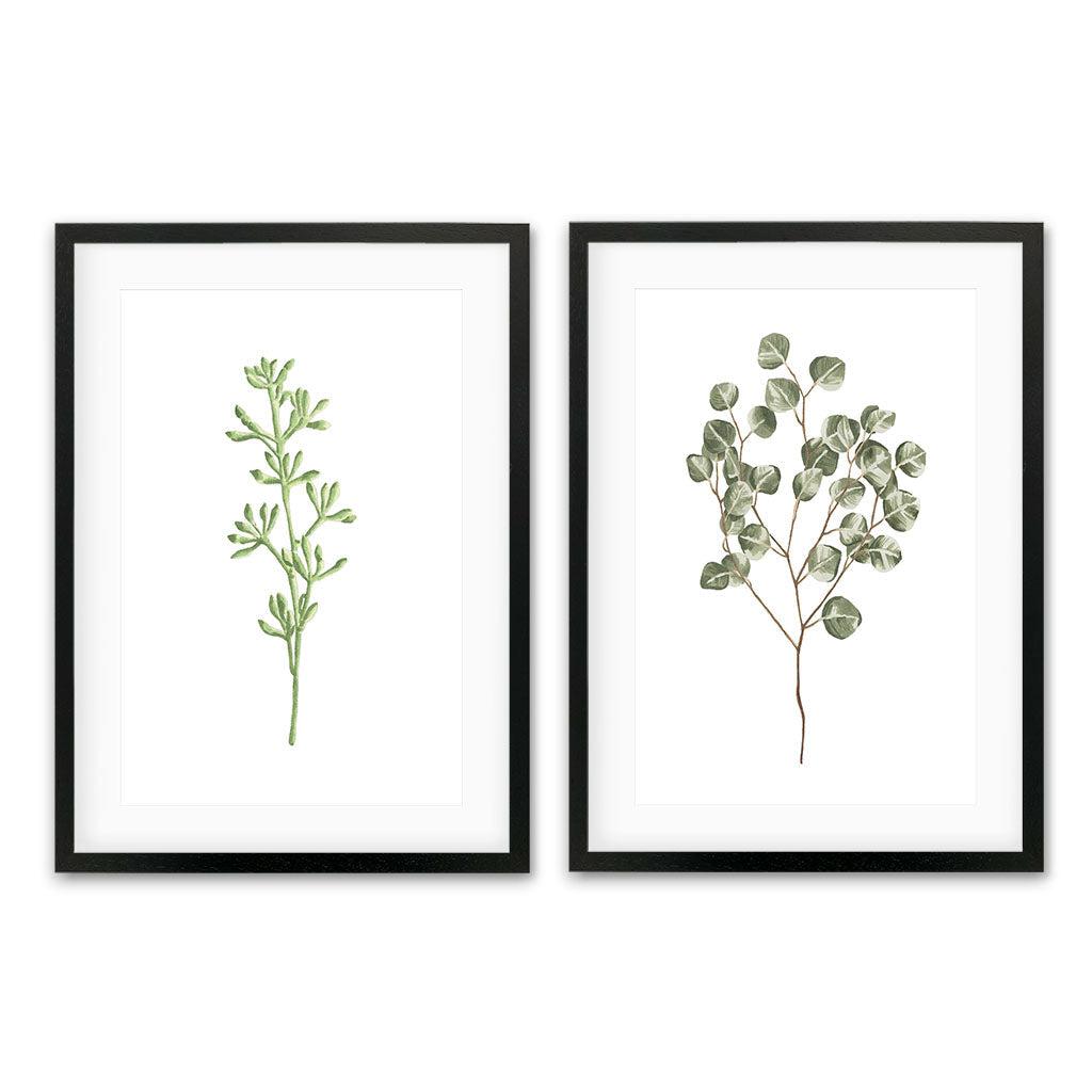 Botanical Pair - Print Set Of 2 Black Frame Wall Art Print Set Of 2 - Abstract House