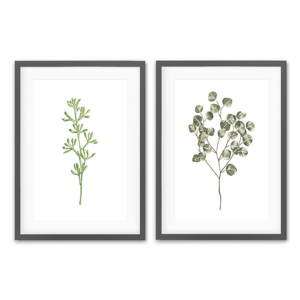 Botanical Pair - Print Set Of 2 Grey Frame Wall Art Print Set Of 2 - Abstract House