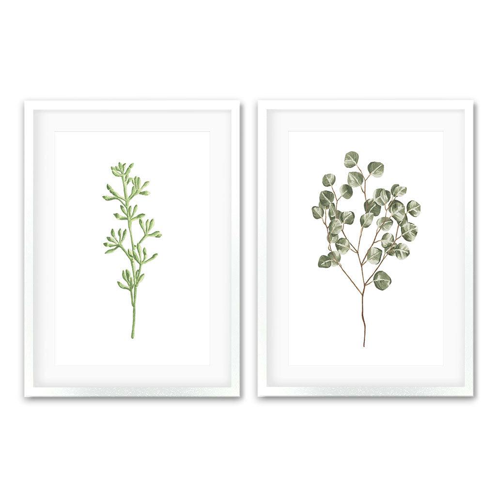 Botanical Pair - Print Set Of 2 White Frame Wall Art Print Set Of 2 - Abstract House