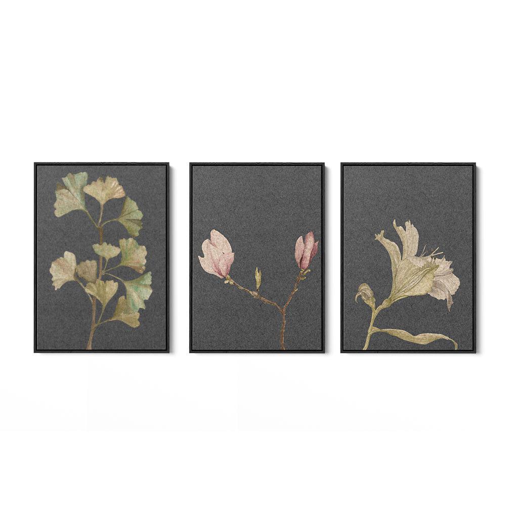 Botanical Vintage Leaves Set Of 3 Canvas Black Canvas Set Of 3 - Abstract House