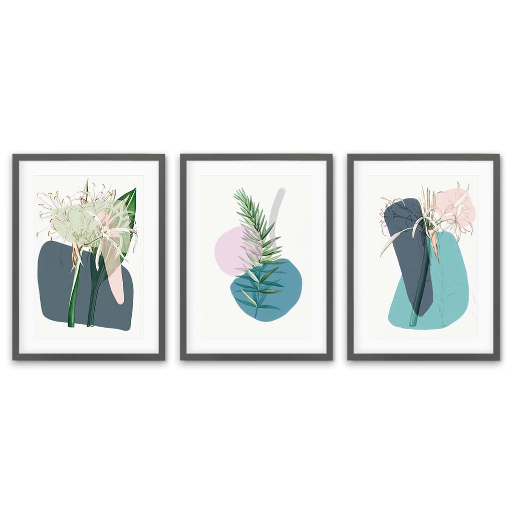 Modern Botanical Abstracts - Set Of 3 Prints Grey Frame Wall Art Print Set Of 3 - Abstract House