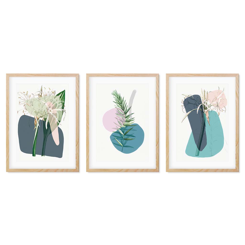 Modern Botanical Abstracts - Set Of 3 Prints Oak Frame Wall Art Print Set Of 3 - Abstract House