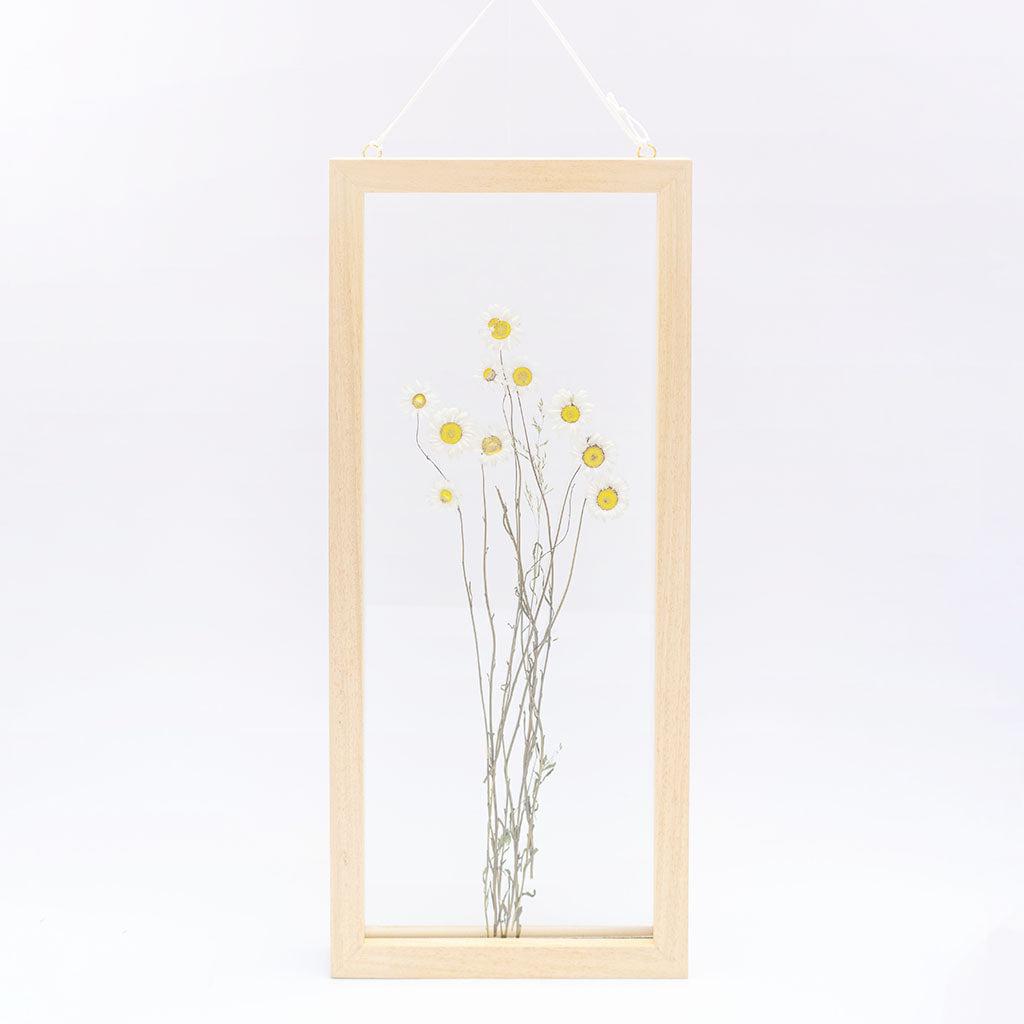 Natural Yellow Helichrysum Flowers Pressed Flowers - Abstract House