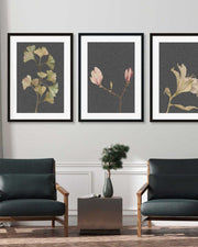 Vintage Botanical Leaves - Set Of 3 Prints