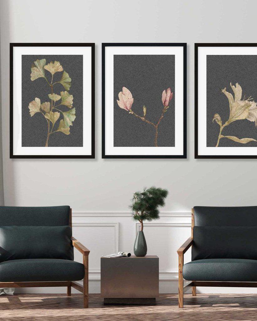 Vintage Botanical Leaves - Set Of 3 Prints