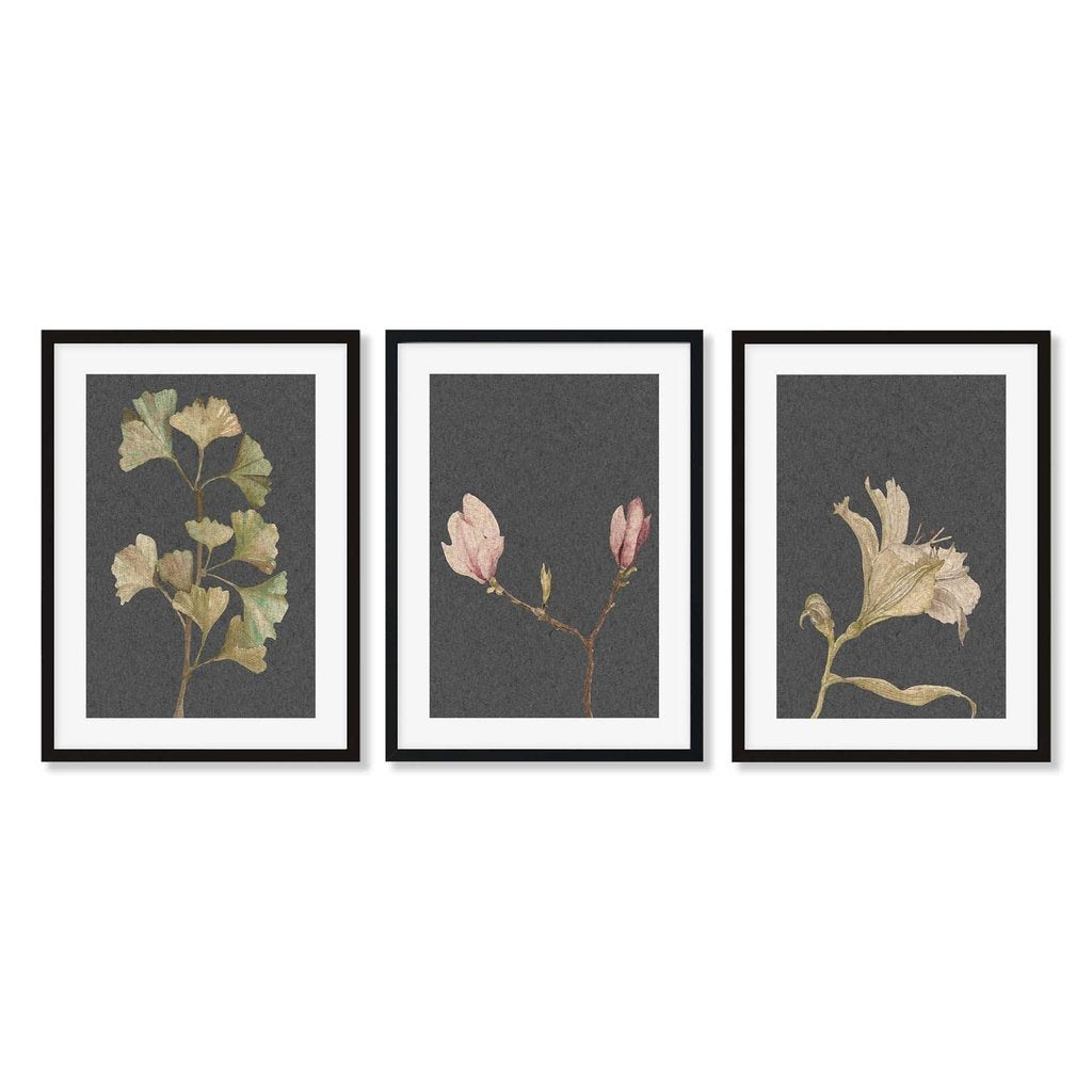 Vintage Botanical Leaves - Set Of 3 Prints