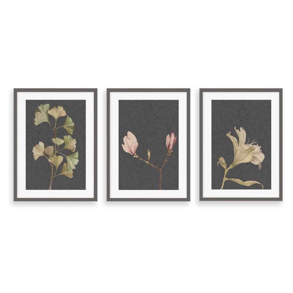 Vintage Botanical Leaves - Set Of 3 Prints