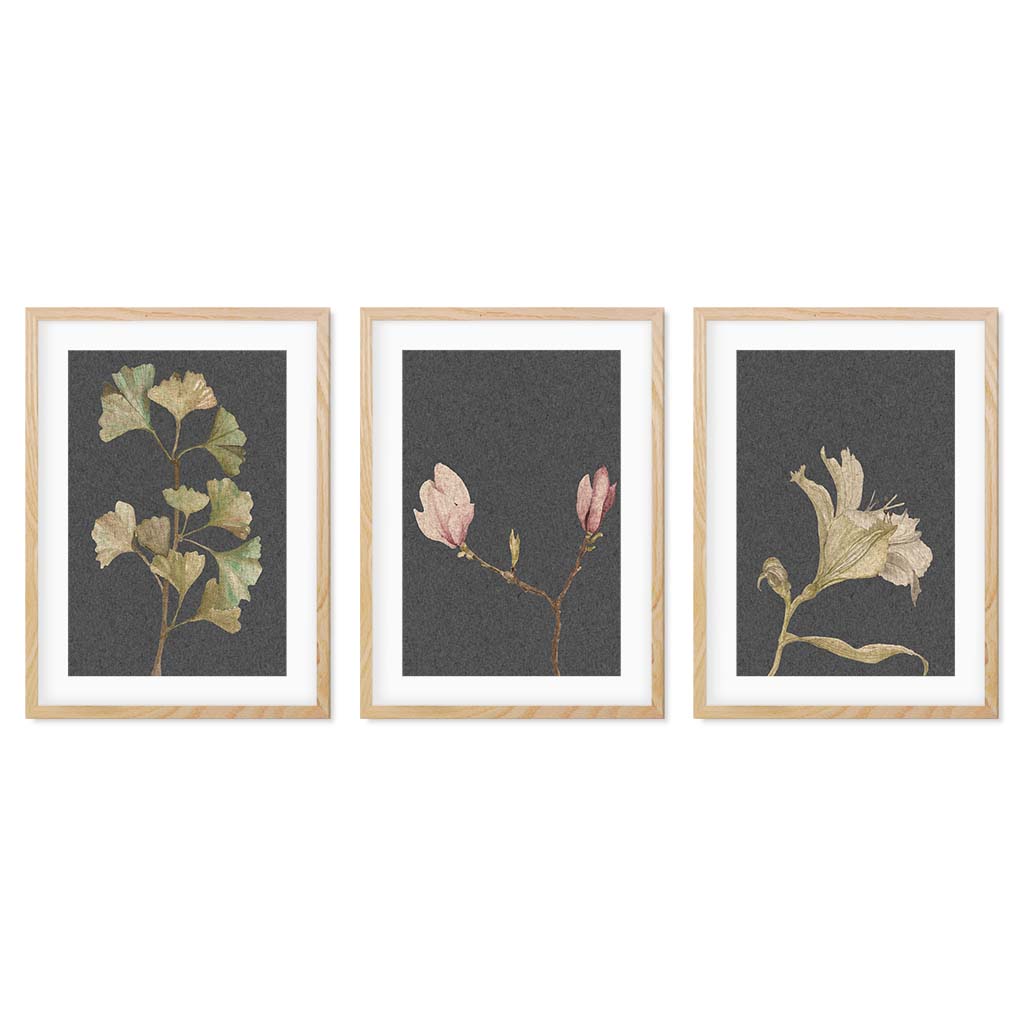 Vintage Botanical Leaves - Set Of 3 Prints Oak Frame Wall Art Print Set Of 3 - Abstract House