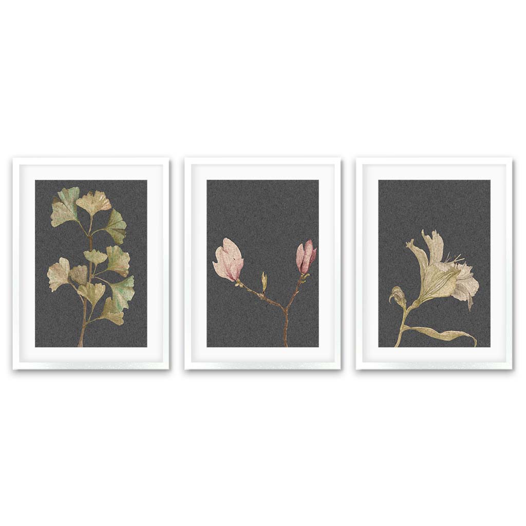 Vintage Botanical Leaves - Set Of 3 Prints White Frame Wall Art Print Set Of 3 - Abstract House
