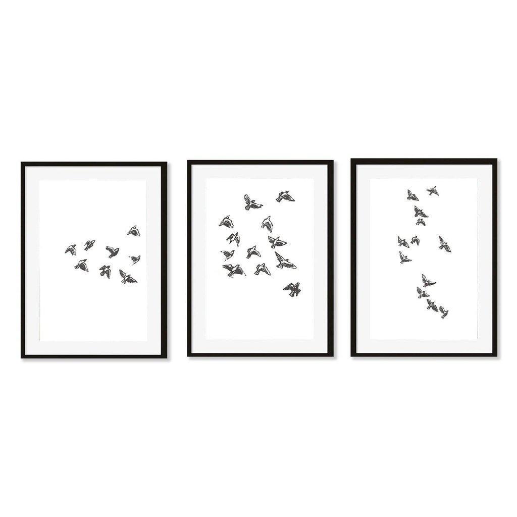 Watercolour Bird Sketches - Set Of 3 Prints