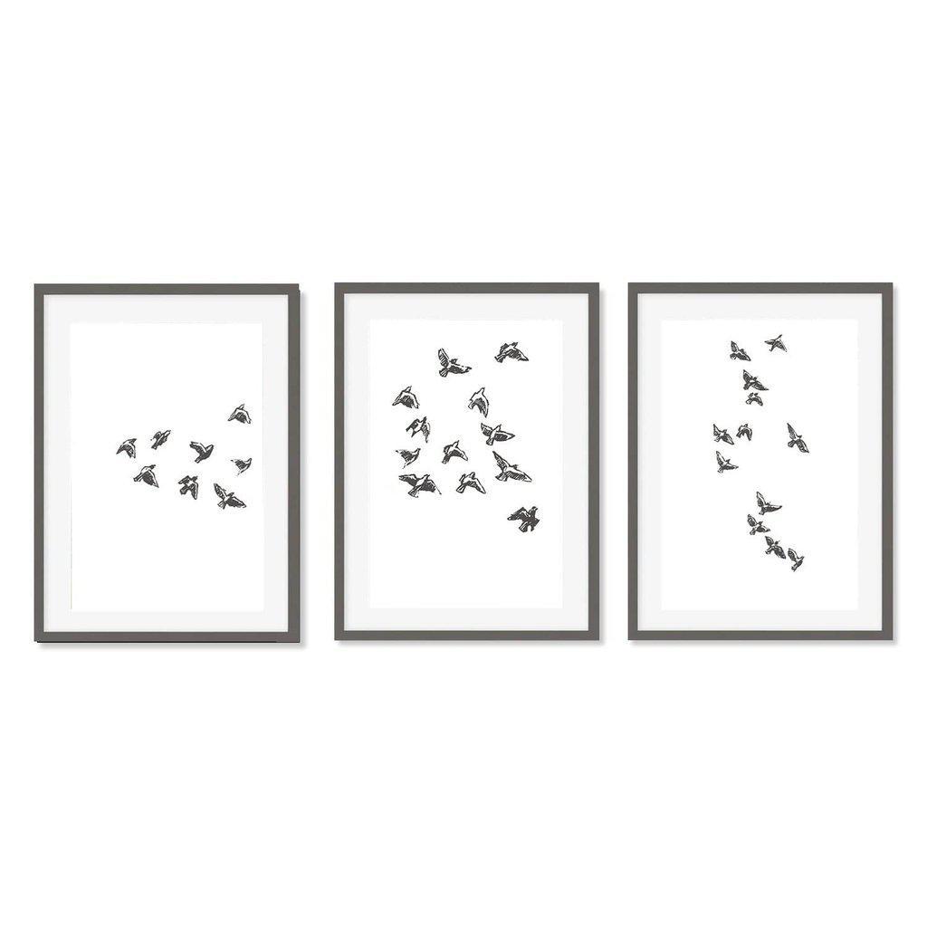 Watercolour Bird Sketches - Set Of 3 Prints