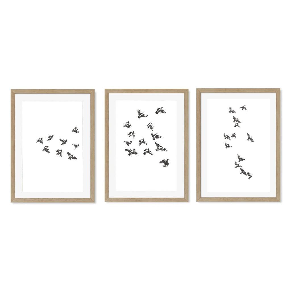 Watercolour Bird Sketches - Set Of 3 Prints Oak Frame Wall Art Print Set Of 3 - Abstract House